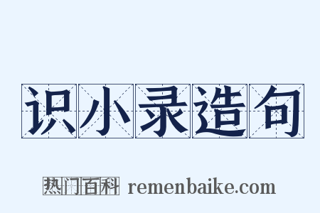 识小录造句是什么意思的图片
